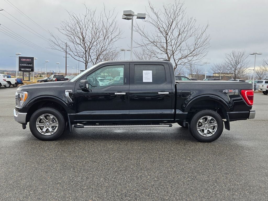 2023 Ford F-150 XLT
